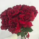 Bouquet of 11 red roses Sophia Loren