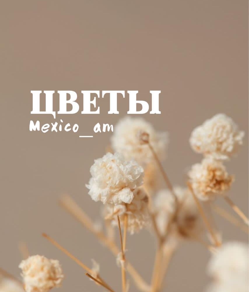 Cvety na Metalnikova