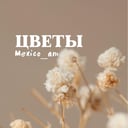 Cvety na Metalnikova