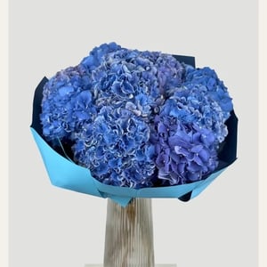 Blue Velvet: 10 Blue Hydrangeas