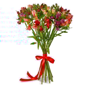 Blumenstrauß 'Bouquet of 15 alstroemeria mix'