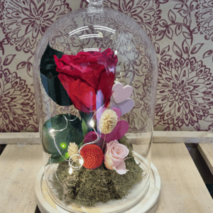 Dome with the red preserved rose