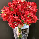 Blumenstrauß 'Flame of fire'