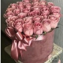 Blumenbox 'In der Kiste sind rosa Rose'