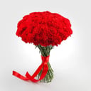 Bouquet 51 Red carnation
