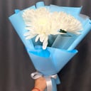 White chrysanthemums in packaging
