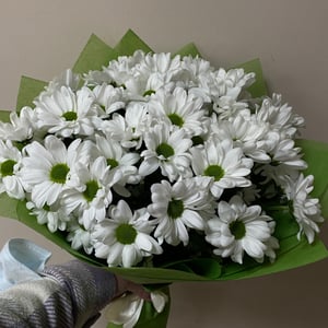 Blumenstrauß 'Gänseblümchen'