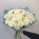 Bouquet of 9 chrysanthemums