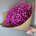Gypsophila bright pink in craft paper