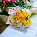 Mischung von Alstroemerie