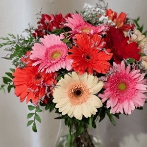 Ramo de gerberas multicolor Rainbow