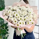 Monobouquet of chrysanthemums