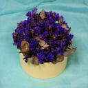 Blumenbox 'Lila Flamme'