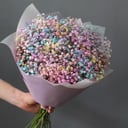 Ramo 'Bouquet of rainbow gypsophila'
