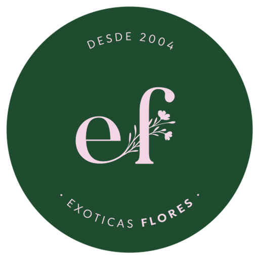 Floreria Exoticas Flores