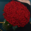 101 red rose 70 cm