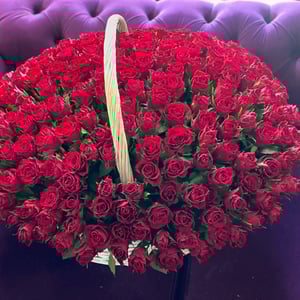 Blumenkorb 'Favorite'