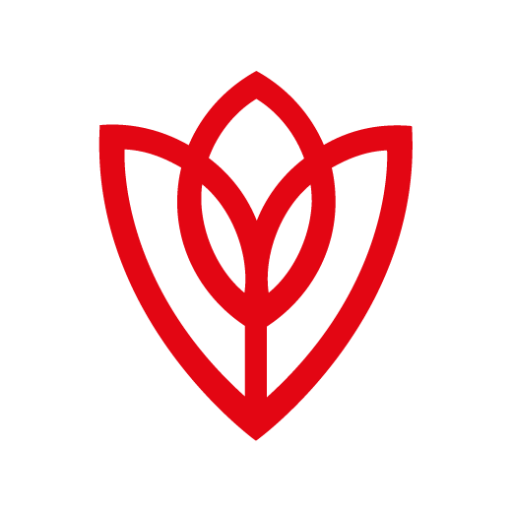 realflowers.ae