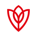 DubaiFlowerDelivery.com