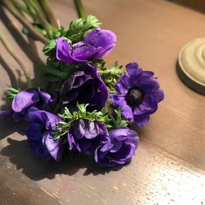 Bouquet of 9 anemones
