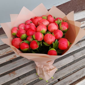 Bouquet '25 coral peonies'