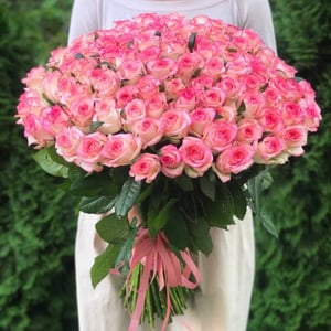 Bouquet '101 Jumilia roses with delivery to Kyiv'