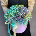 Composition "Veil cloud"