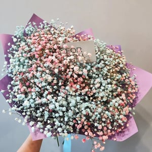 Bouquet 'Rainbow Gypsophila'