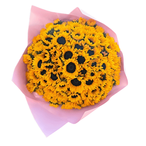 Giant bouquet of 100 sunflowers