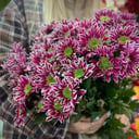 Ramo 'Chrysanthème'