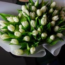 Bouquet 'White tulips 50'