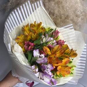 Bouquet of colorful Alstroemerias
