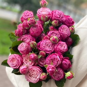 Bouquet 'Spray peony roses pink'