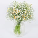 Bouquet 'A wonderful day'