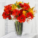 Thanks Bouquet: Gerberas and Cymbidiums