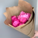 Peonies 5