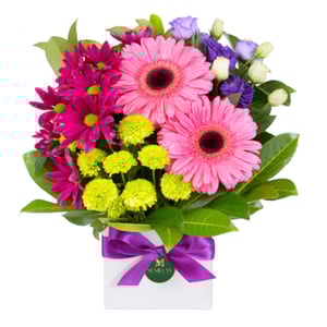 Flower box 'Charlyne — a bloom of charm'