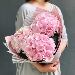 Bouquet 'Delicate hydrangeas'