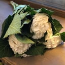 Blumenstrauß 'Morning compliment'