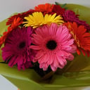 Bouquet 'Gerbera'