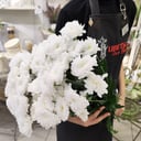 Bouquet of 7 White Bush Chrysanthemums