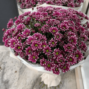 Chrysanthemum Bouquet