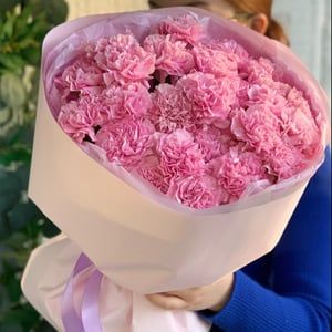 Pink bouquet of Dianthus