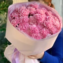 Ramo rosa de Dianthus