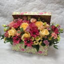 Blumenbox 'Aprikosen-Dessert'