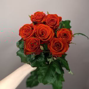 Bouquet '7 bright red roses with a ribbon'