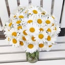 Bouquet '51 chamomile with a laconic vase'