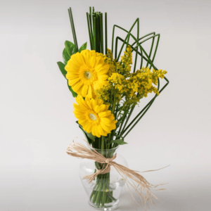 Duas Gérberas em Vaso