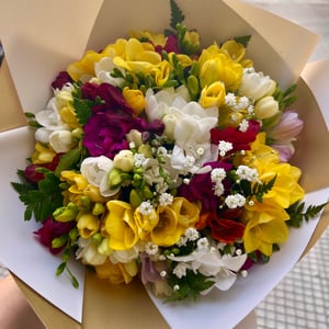 A bouquet of 25 delicate freesias