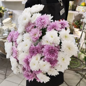 Bouquet of 11 Assorted Bush Chrysanthemums